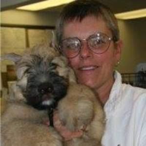 Meet your Posher, Lynn